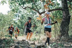 BIB: 
                            <button type="button" onclick="openModal(26105355)" class="btn btn-primary btn-sm float-right btn-popup" data-toggle="modal" data-target=".modal-high-quality">
                        <i class="fas fa-shopping-cart"></i> Add to Cart
                    </button>
                                            <button type="button" onclick="isThisMe(26105355, true)" class="btn btn-success btn-sm float-right btn-popup btn-isme hidden" data-toggle="tooltip" data-placement="bottom" title="นี่คือรูปของคุณใช่ไหม คลิกที่นี่เพื่อเอาเข้าอัลบั้ม">
                        <i class="fas fa-plus"></i> Add to album
                    </button>
                    <button type="button" onclick="isThisMe(26105355, false)" class="btn btn-warning btn-sm float-right btn-popup btn-isnotme hidden">
                        <i class="fas fa-ban"></i> Remove from album
                    </button>